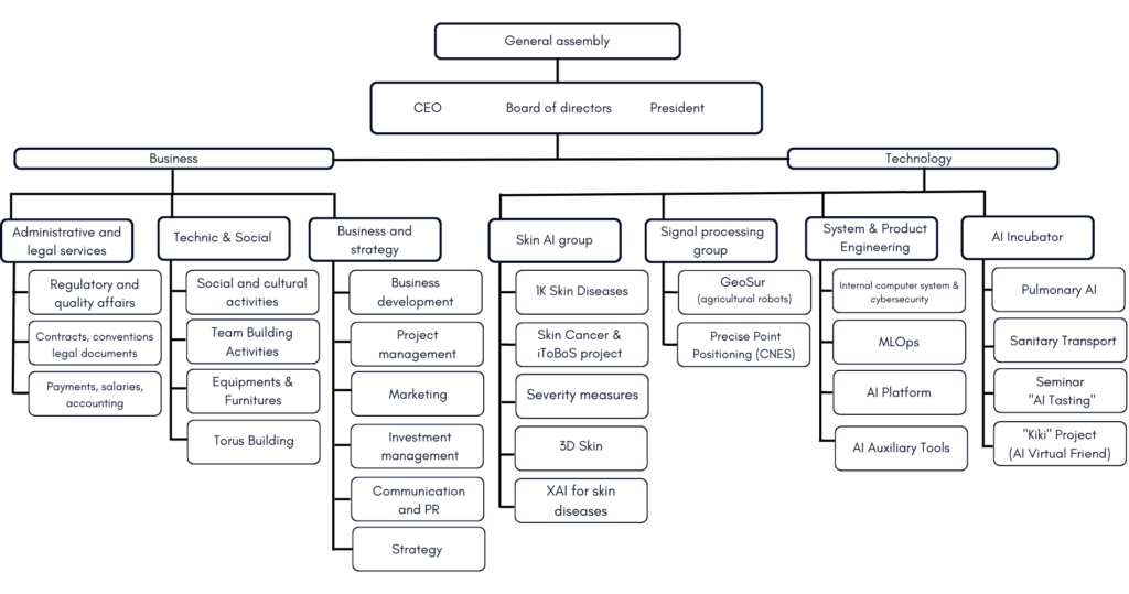 Organigramme des équipes de Torus Actions