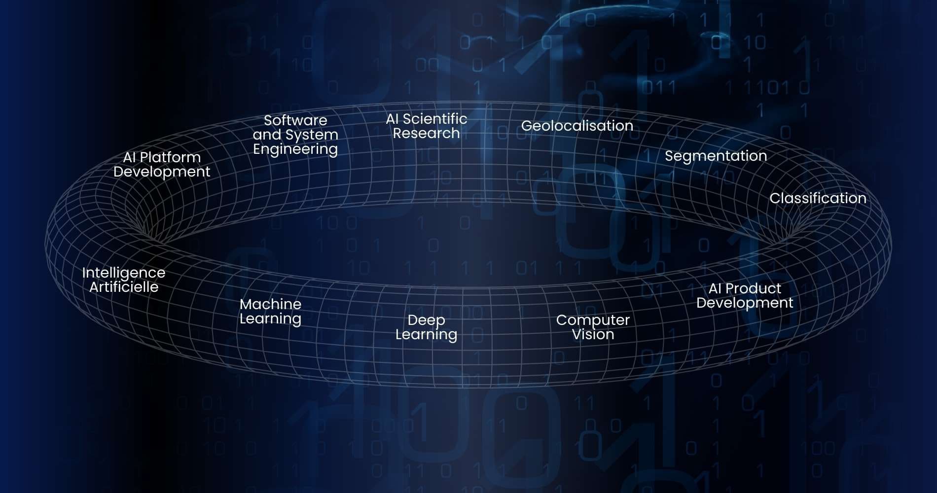 Les domaines d'expertises de recherche de Torus